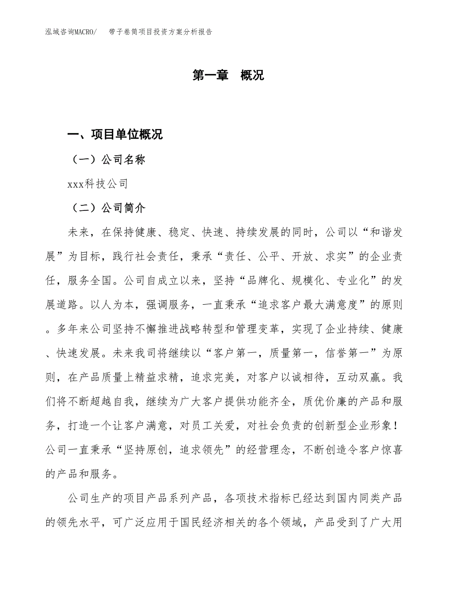 带子卷筒项目投资方案分析报告.docx_第1页