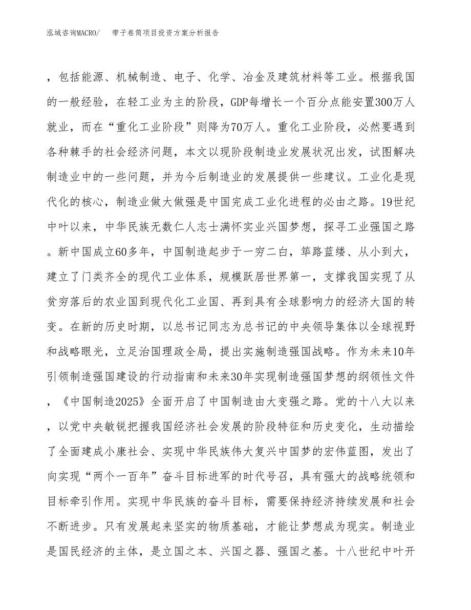 带子卷筒项目投资方案分析报告.docx_第5页