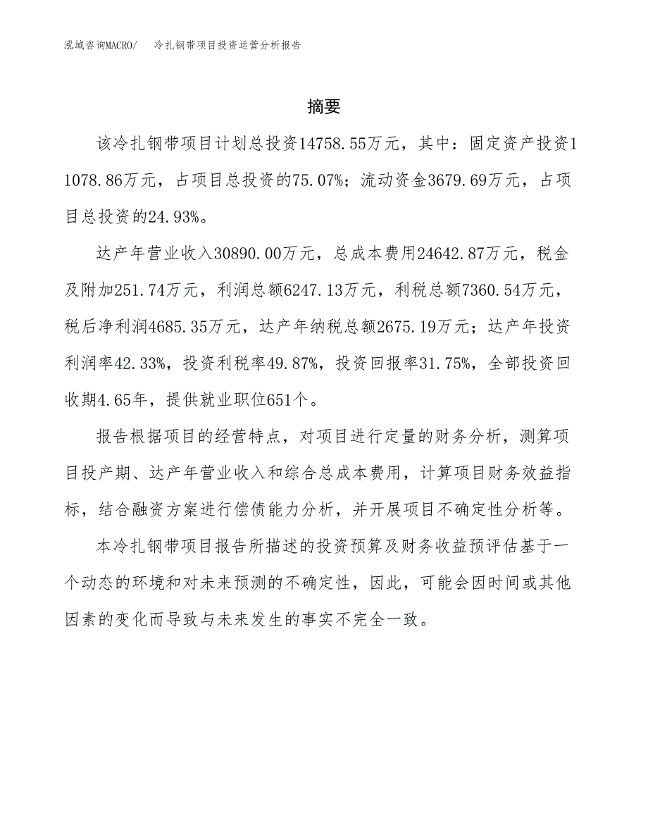 冷扎钢带项目投资运营分析报告参考模板.docx_第2页