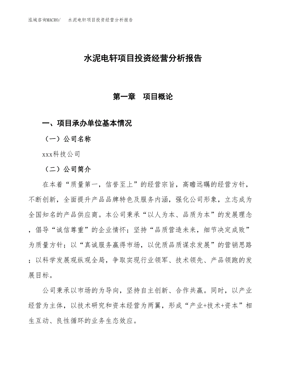 水泥电轩项目投资经营分析报告模板.docx_第1页