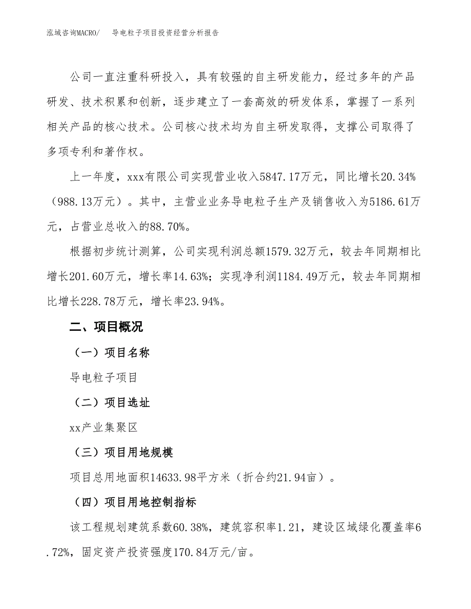 导电粒子项目投资经营分析报告模板.docx_第2页