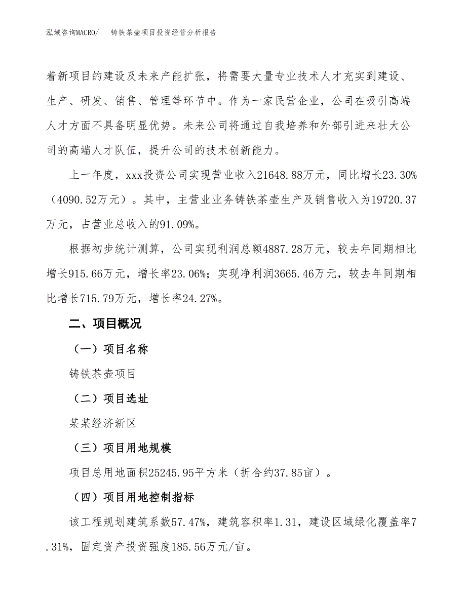 铸铁茶壶项目投资经营分析报告模板.docx_第2页