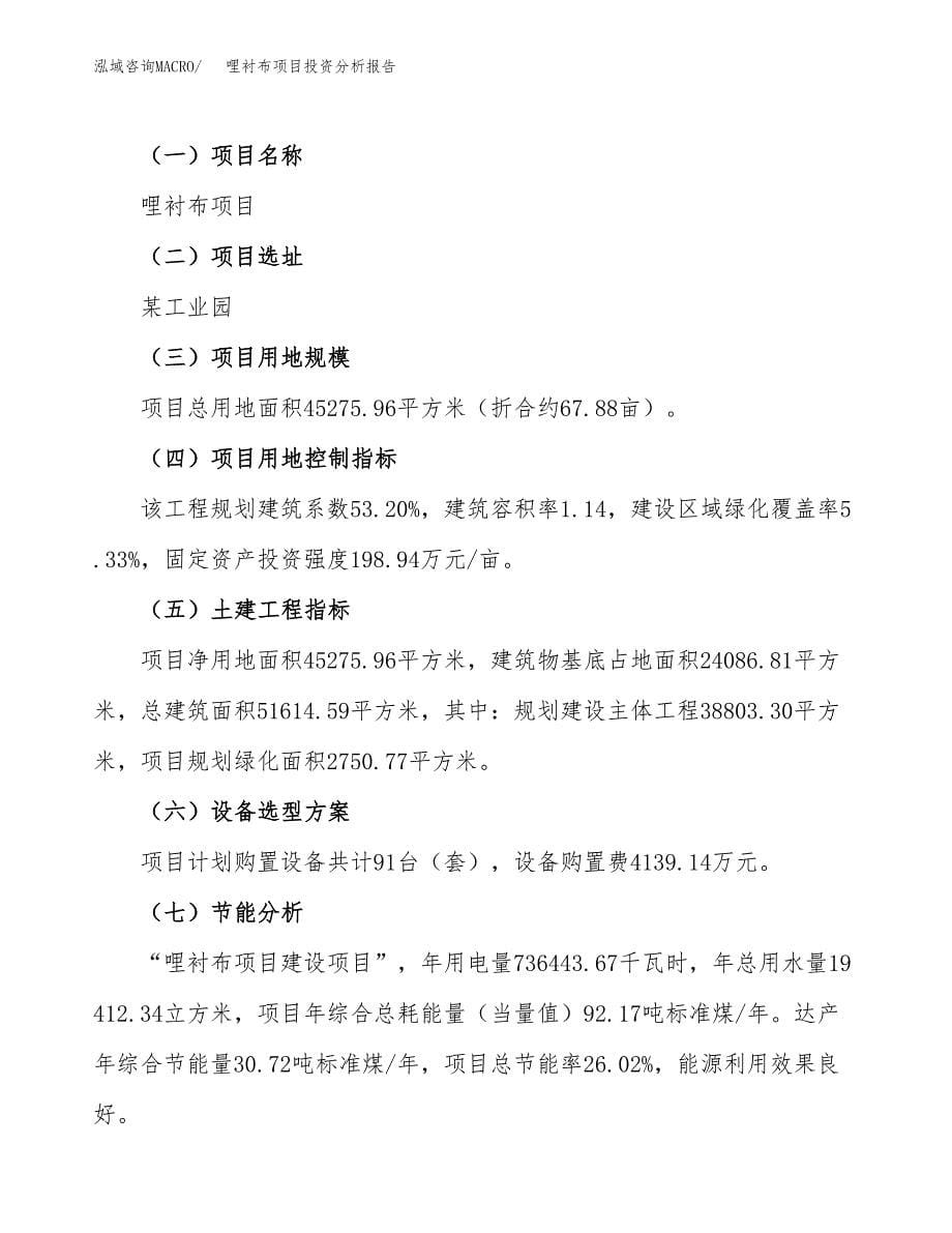 哩衬布项目投资分析报告（总投资18000万元）（68亩）_第5页