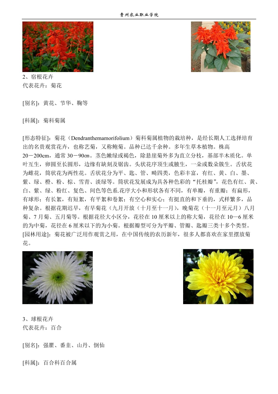 花卉栽培-花卉识别-教案_第3页