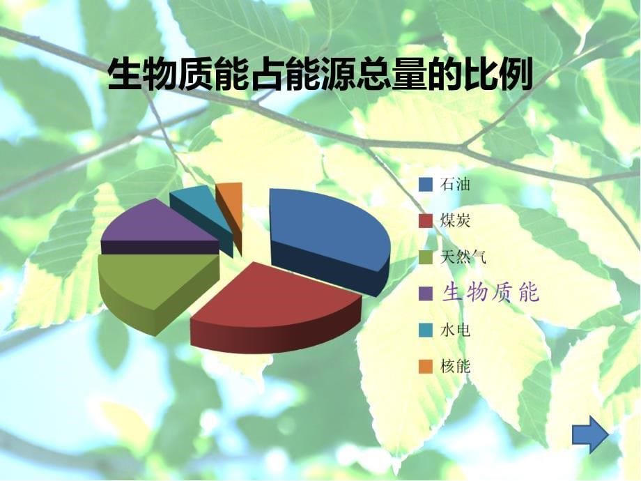 生物质能报告_第5页