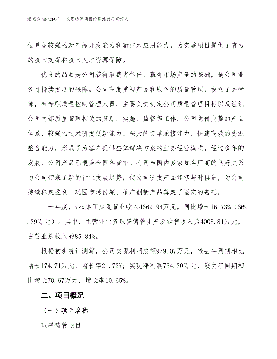 球墨铸管项目投资经营分析报告模板.docx_第2页