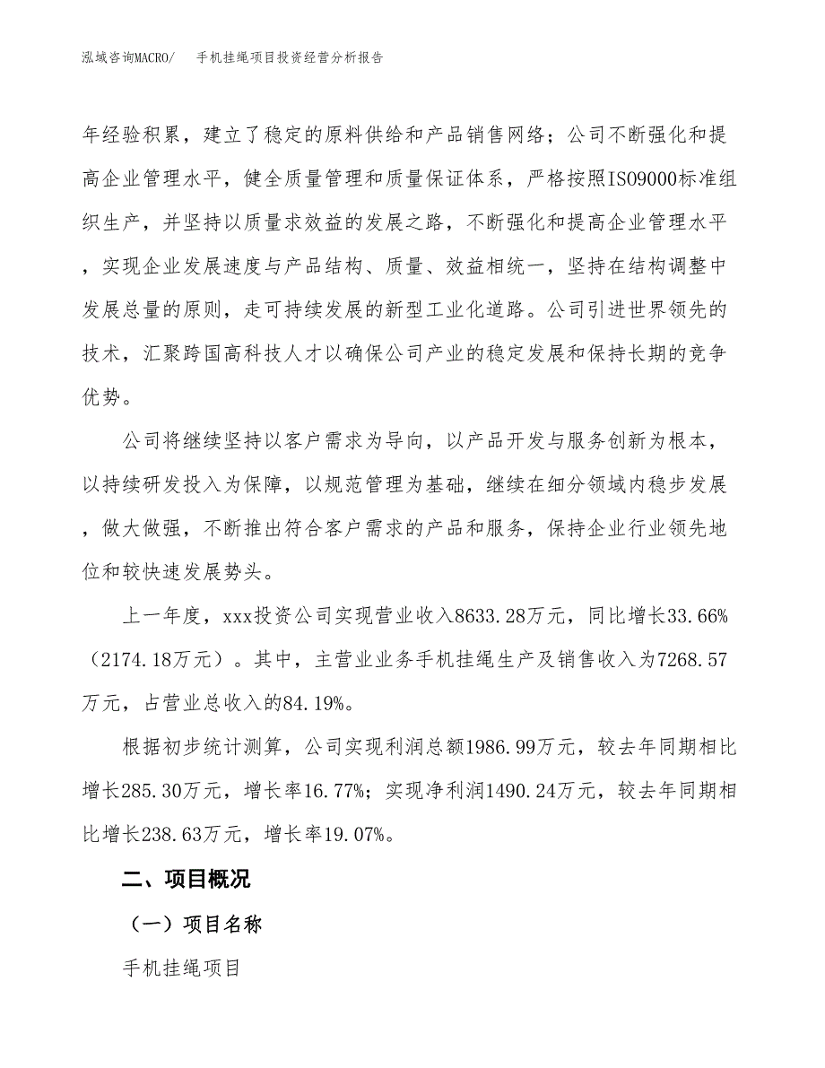 手机挂绳项目投资经营分析报告模板.docx_第2页