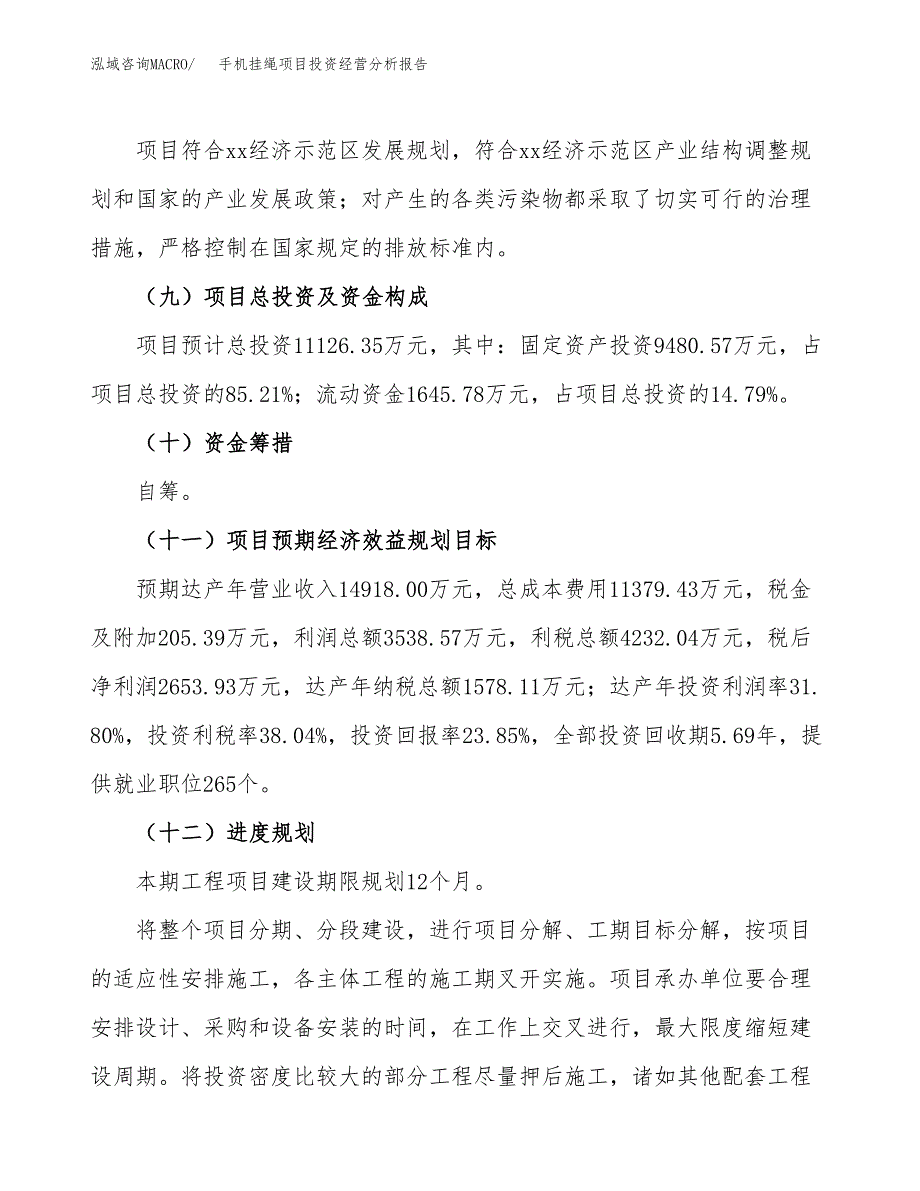 手机挂绳项目投资经营分析报告模板.docx_第4页