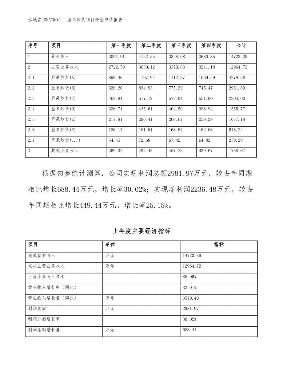 坚果炒货项目资金申请报告_第5页