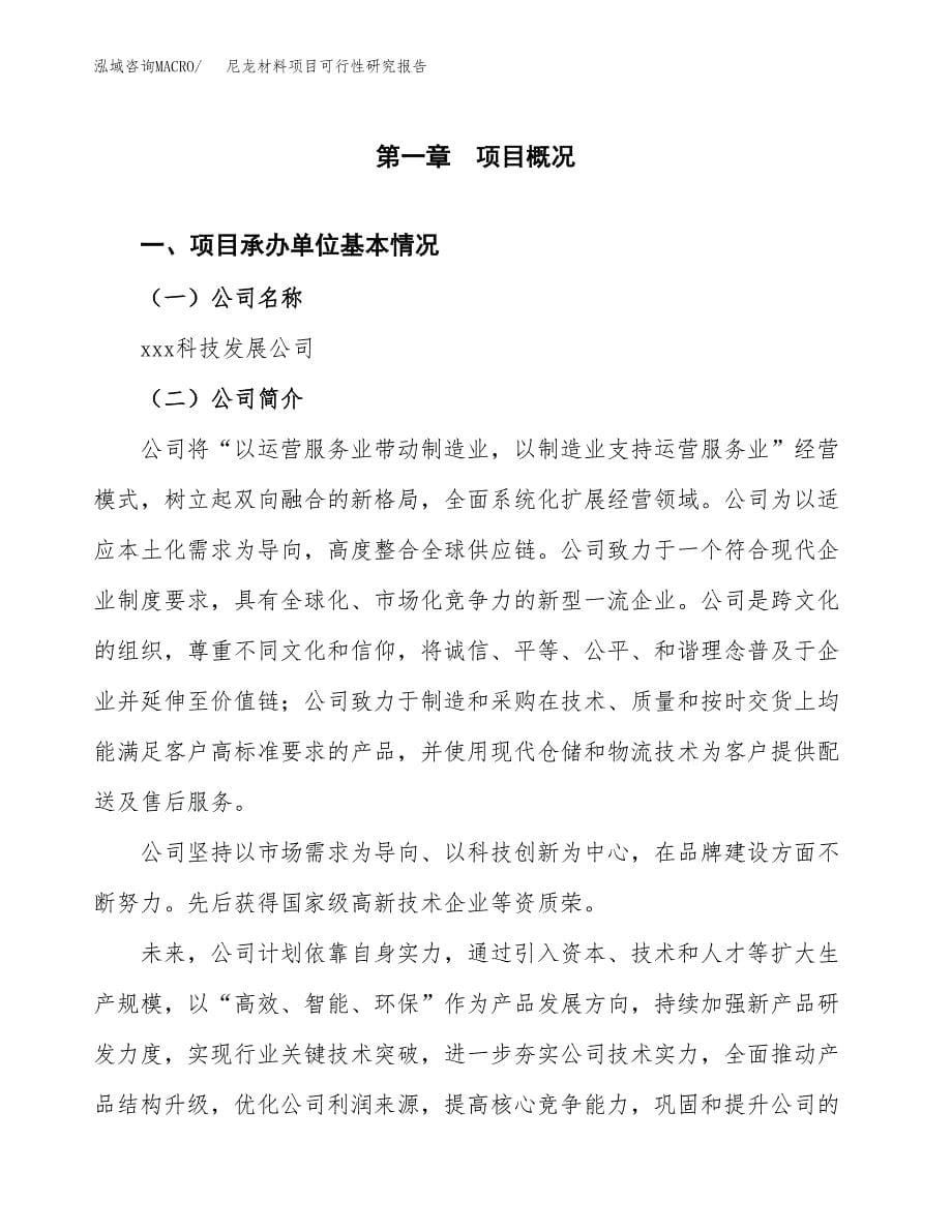 尼龙材料项目可行性研究报告汇报设计.docx_第5页