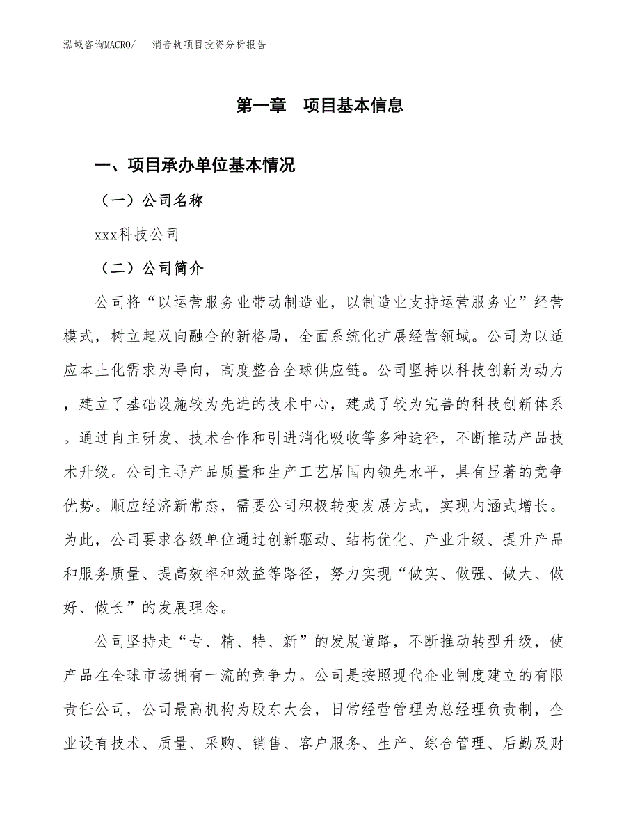 消音轨项目投资分析报告（总投资21000万元）（90亩）_第2页