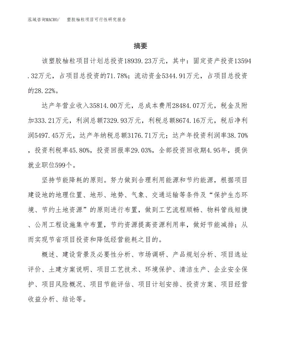 塑胶柚粒项目可行性研究报告汇报设计.docx_第2页