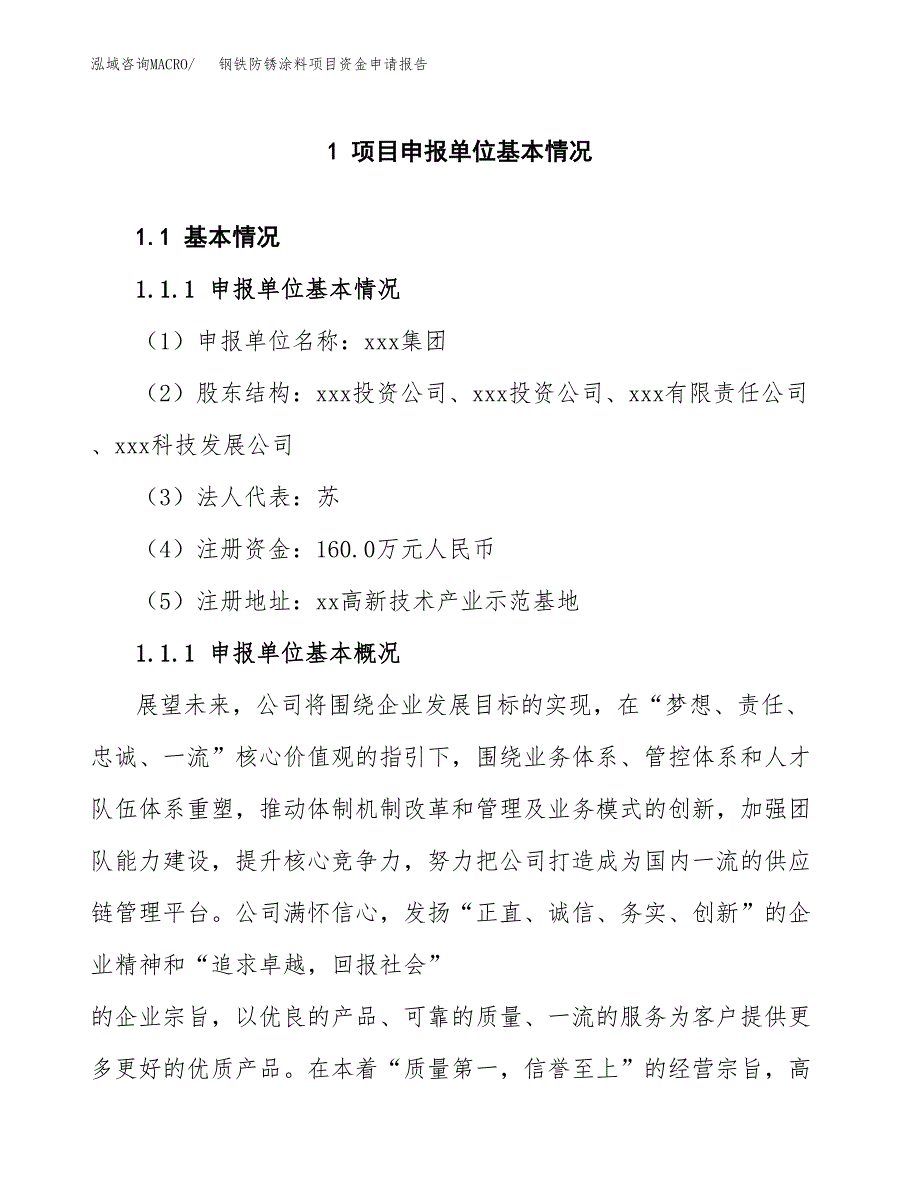 钢铁防锈涂料项目资金申请报告_第3页