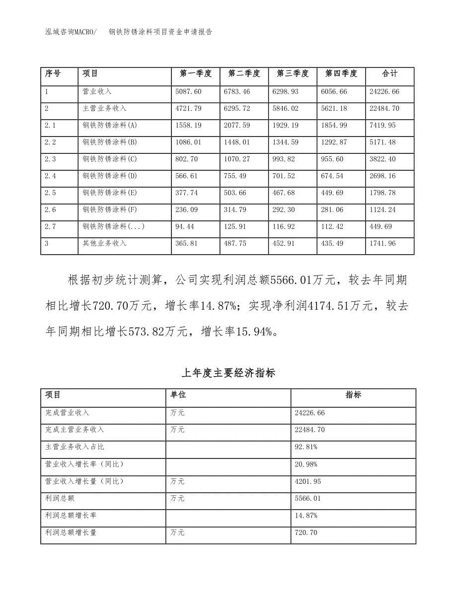 钢铁防锈涂料项目资金申请报告_第5页