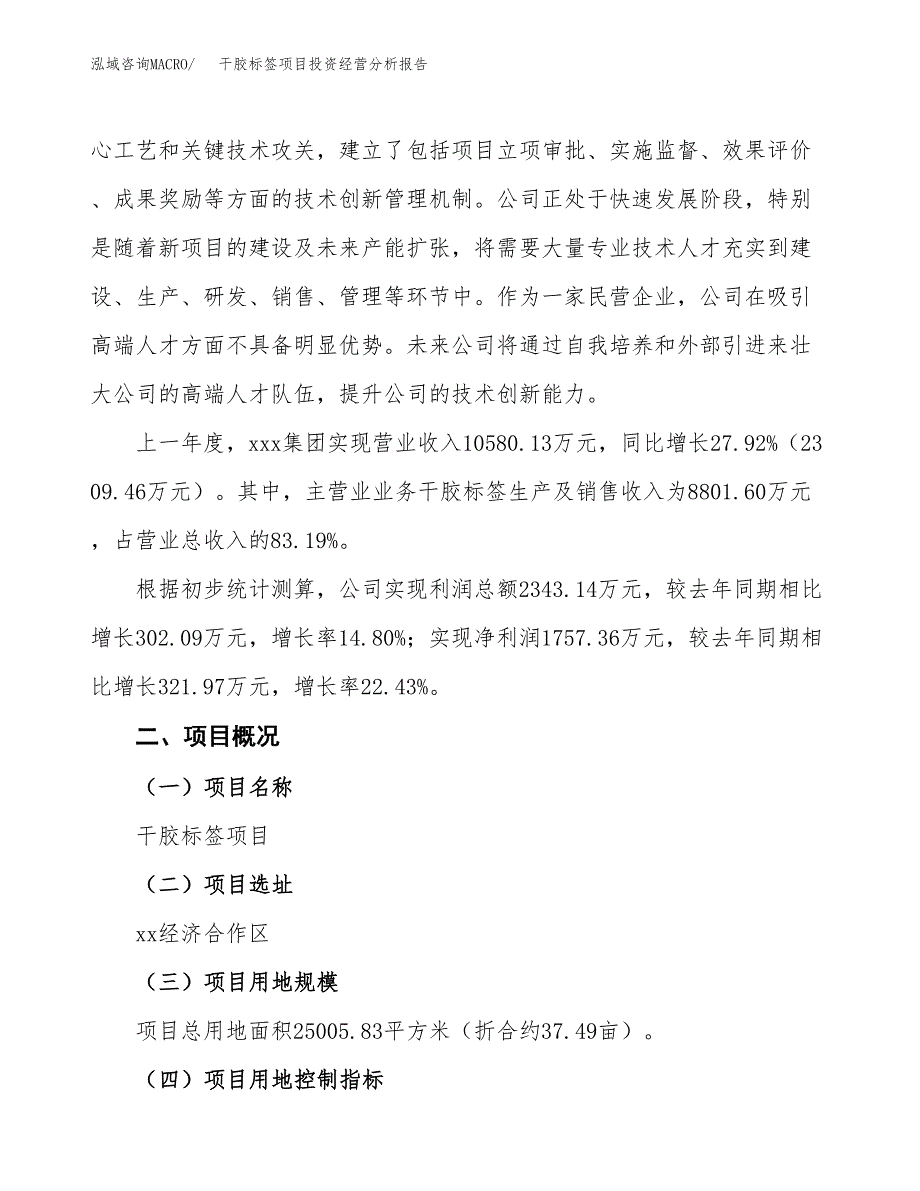 干胶标签项目投资经营分析报告模板.docx_第3页