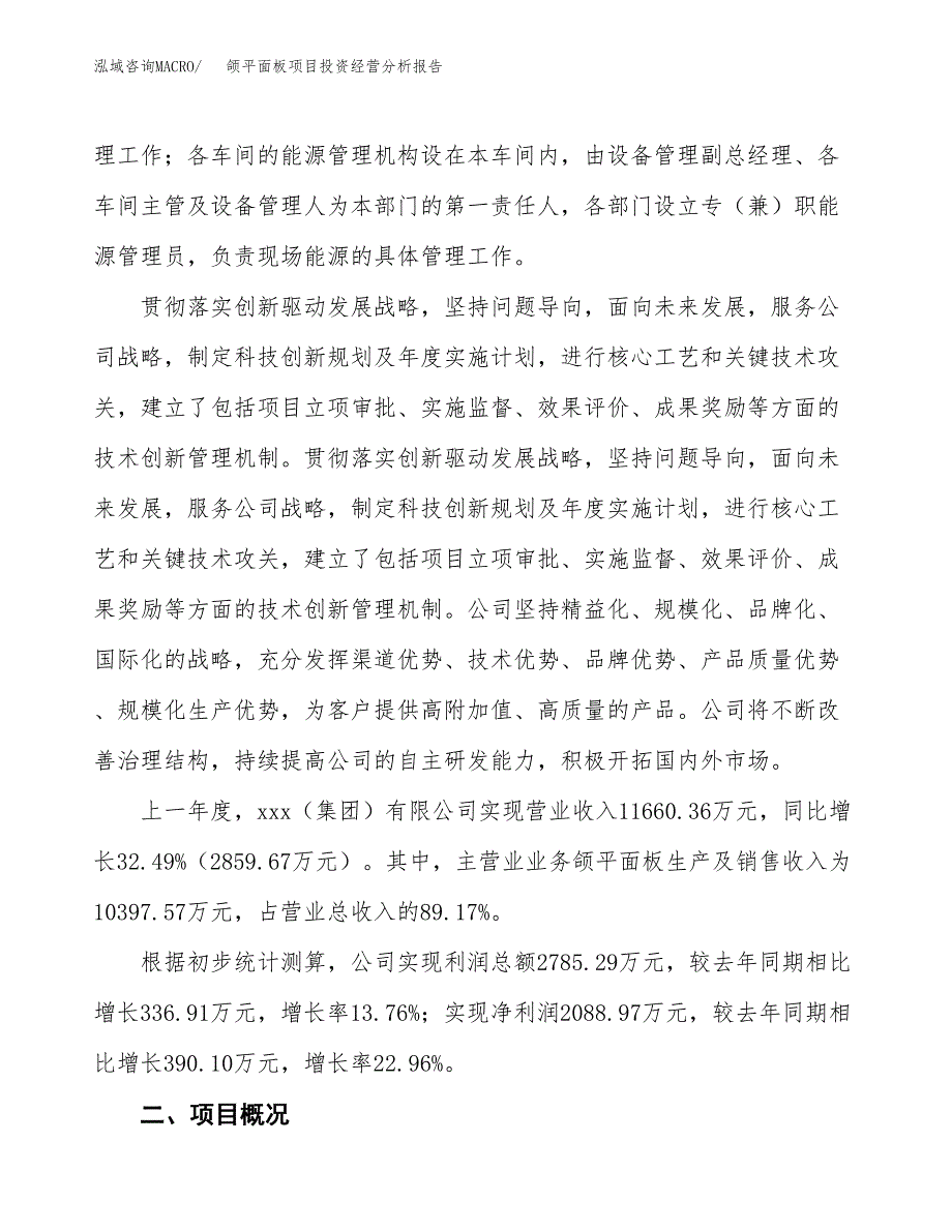 颌平面板项目投资经营分析报告模板.docx_第2页