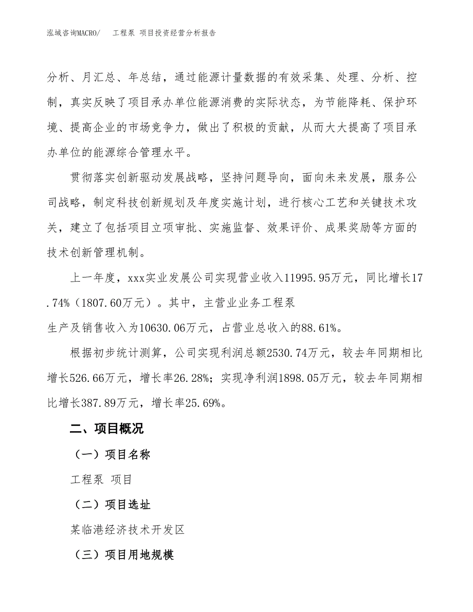 工程泵 项目投资经营分析报告模板.docx_第3页