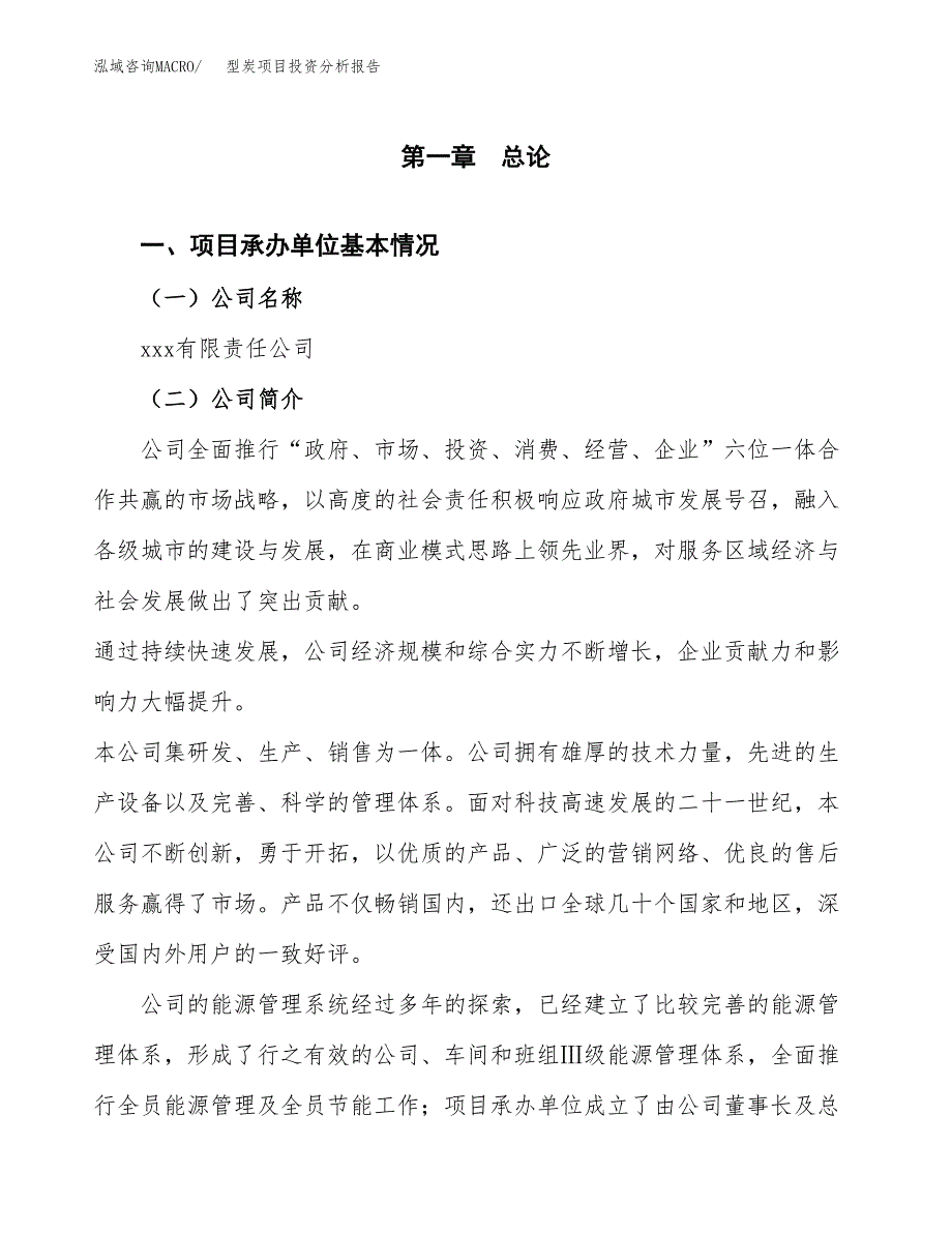 型炭项目投资分析报告（总投资19000万元）（85亩）_第2页