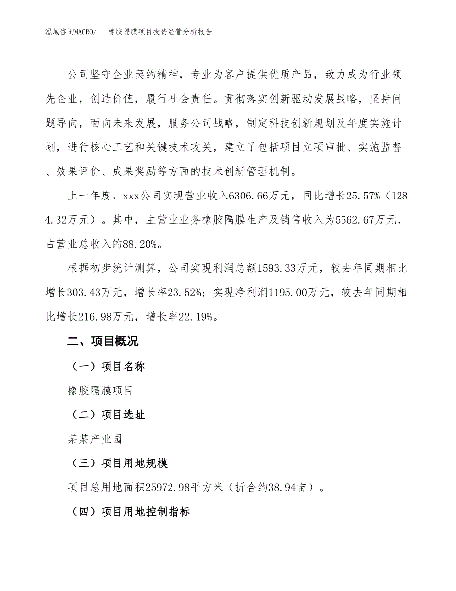 橡胶隔膜项目投资经营分析报告模板.docx_第2页