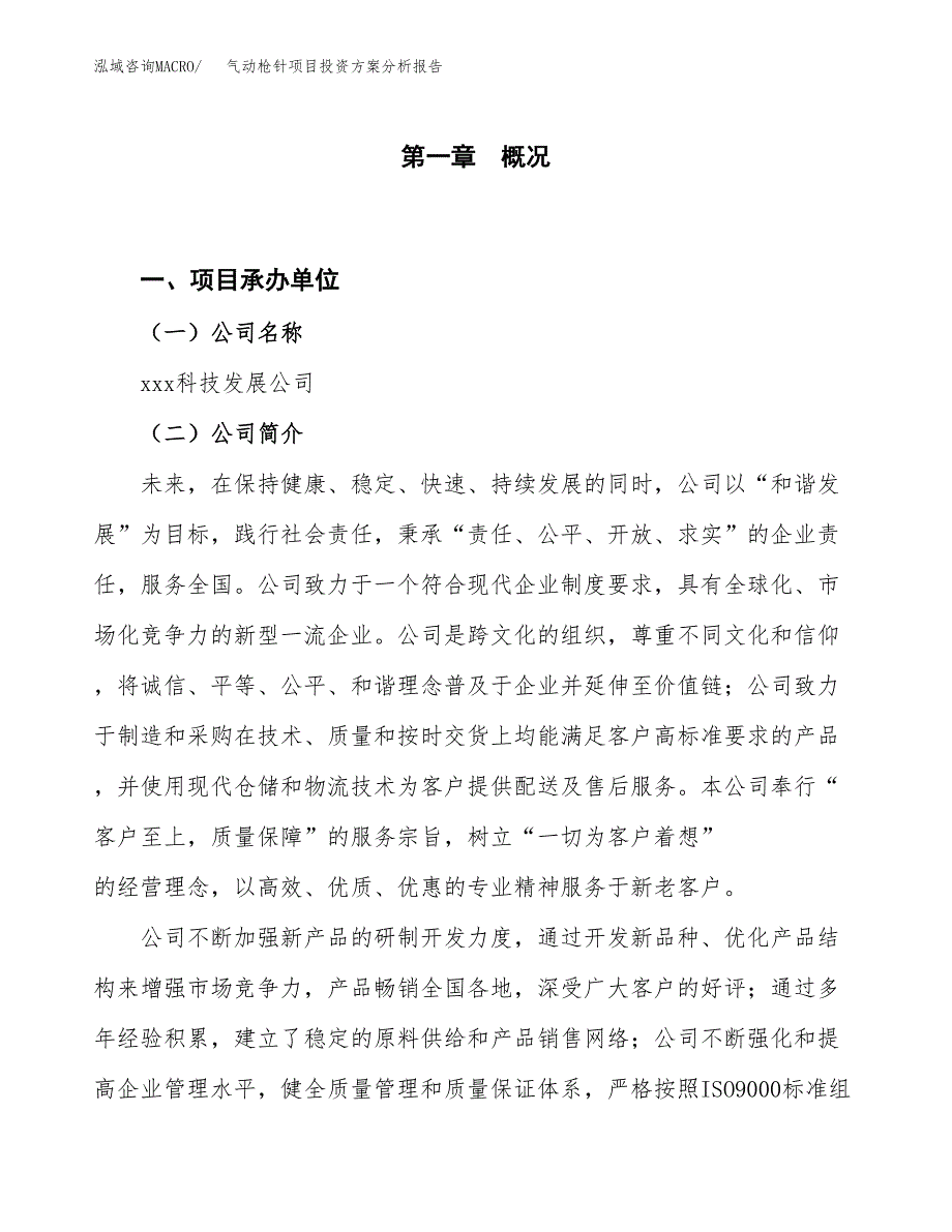 气动枪针项目投资方案分析报告.docx_第1页