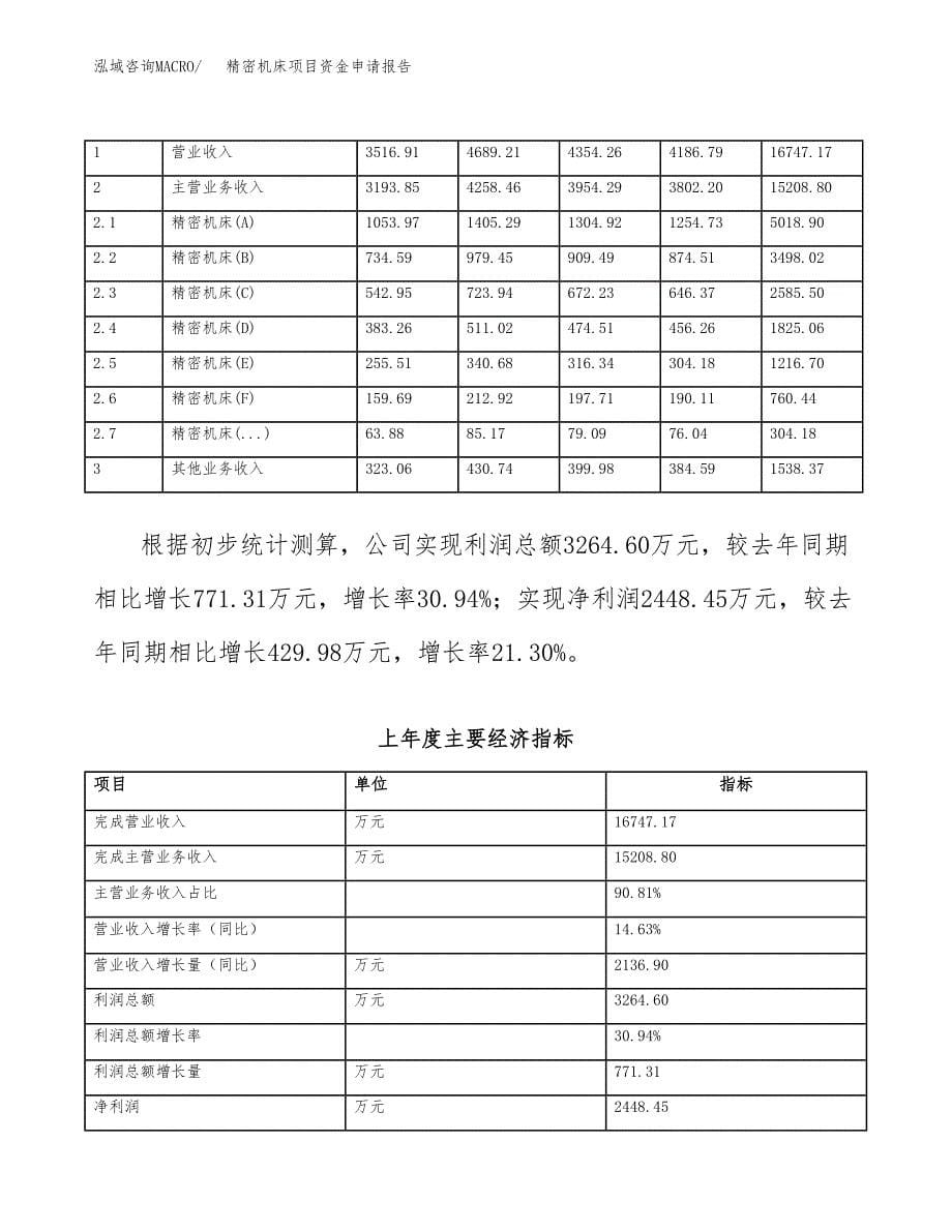 精密机床项目资金申请报告_第5页