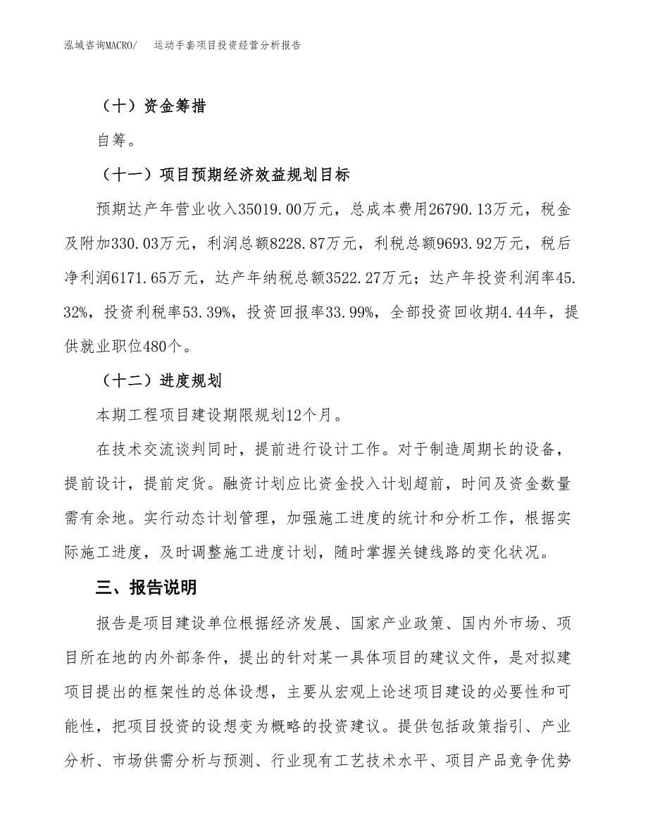 运动手套项目投资经营分析报告模板.docx_第5页