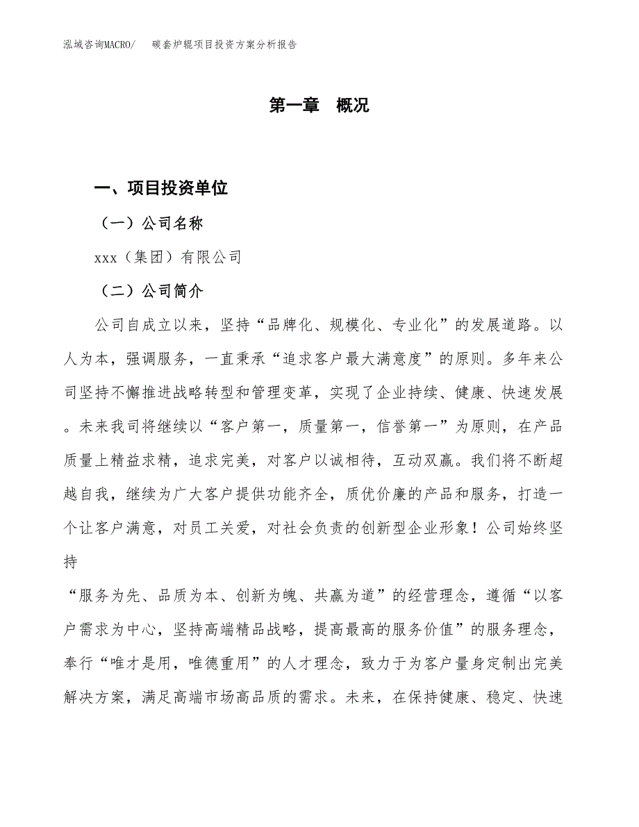 碳套炉辊项目投资方案分析报告.docx_第1页