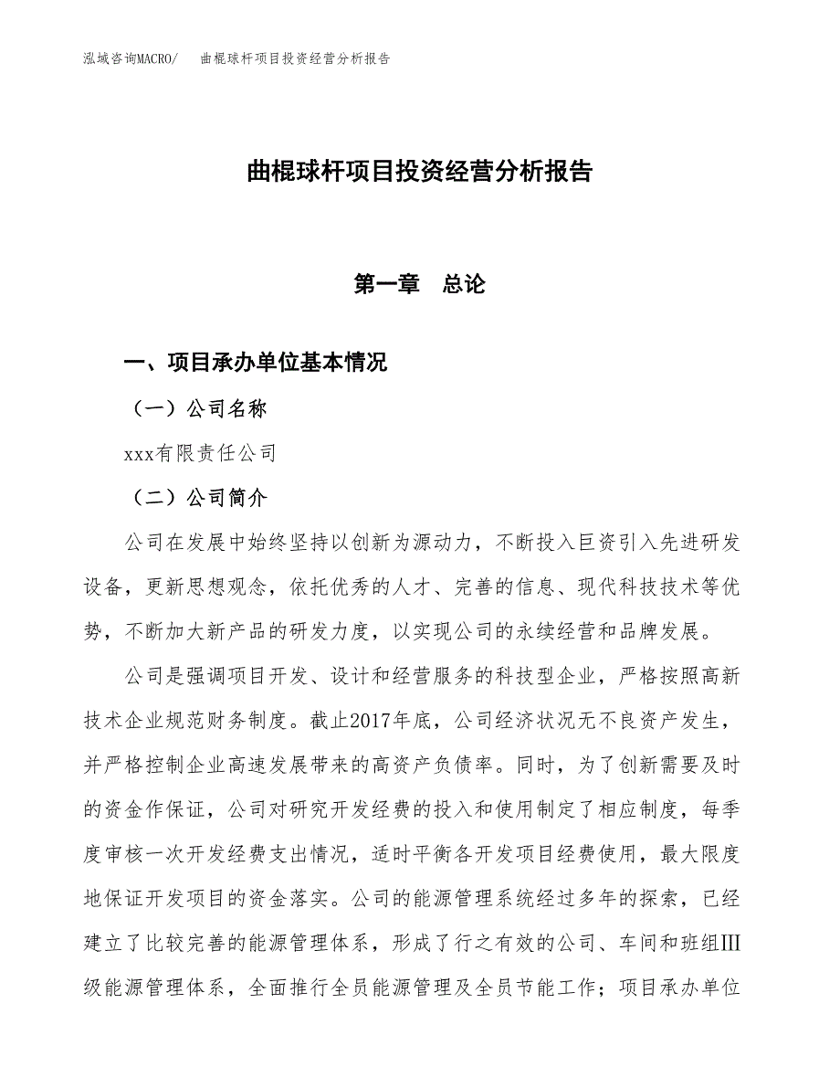 曲棍球杆项目投资经营分析报告模板.docx_第1页