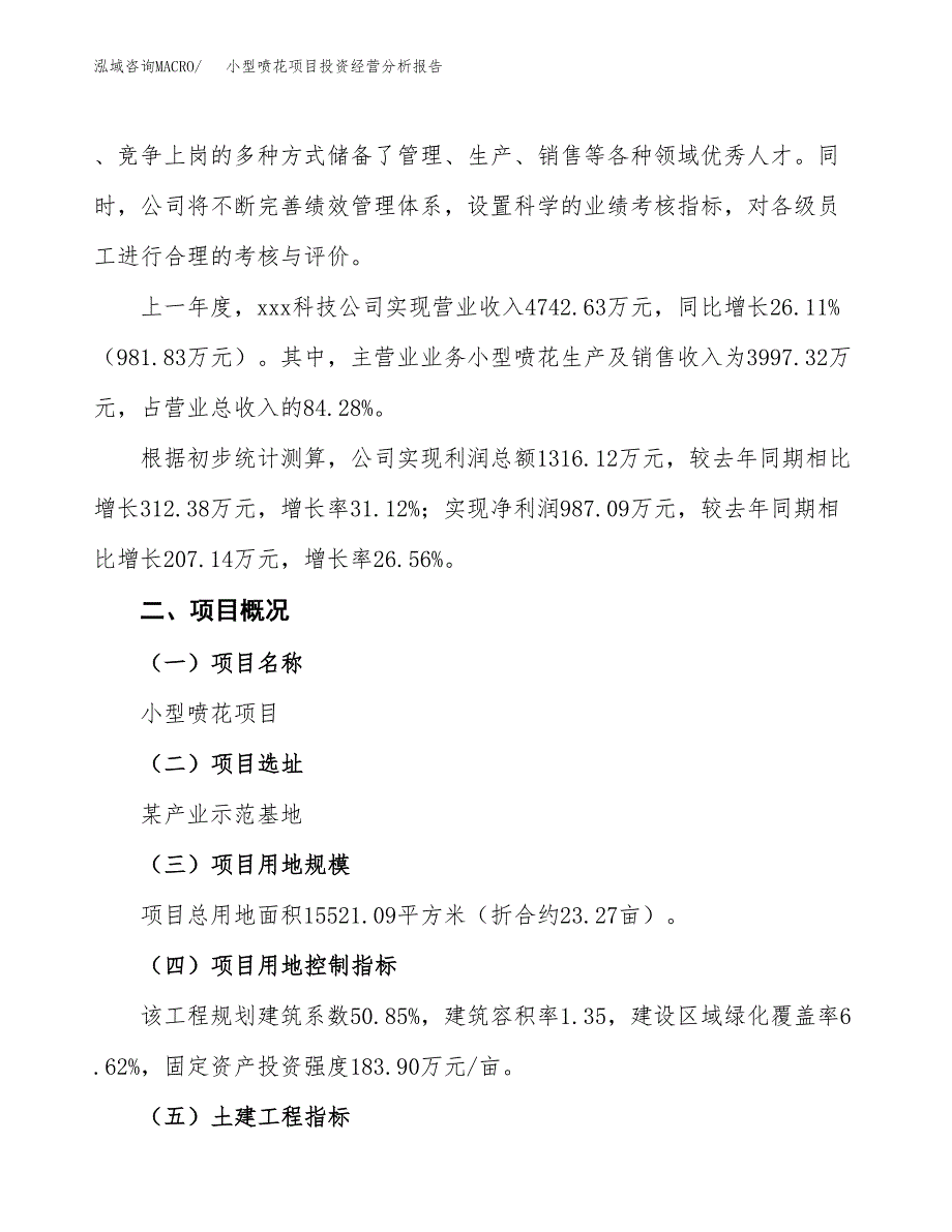 小型喷花项目投资经营分析报告模板.docx_第3页