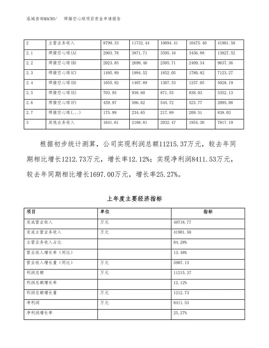 焊接空心球项目资金申请报告_第5页