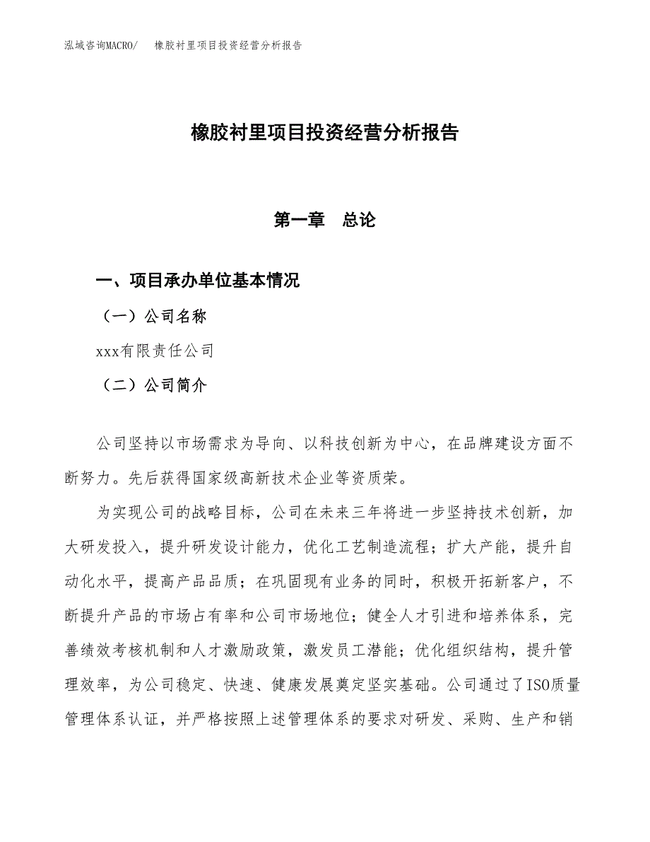 橡胶衬里项目投资经营分析报告模板.docx_第1页