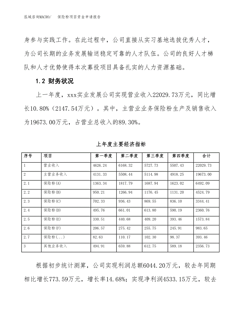 保险粉项目资金申请报告_第4页