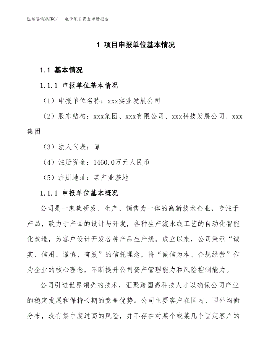 电子项目资金申请报告_第3页