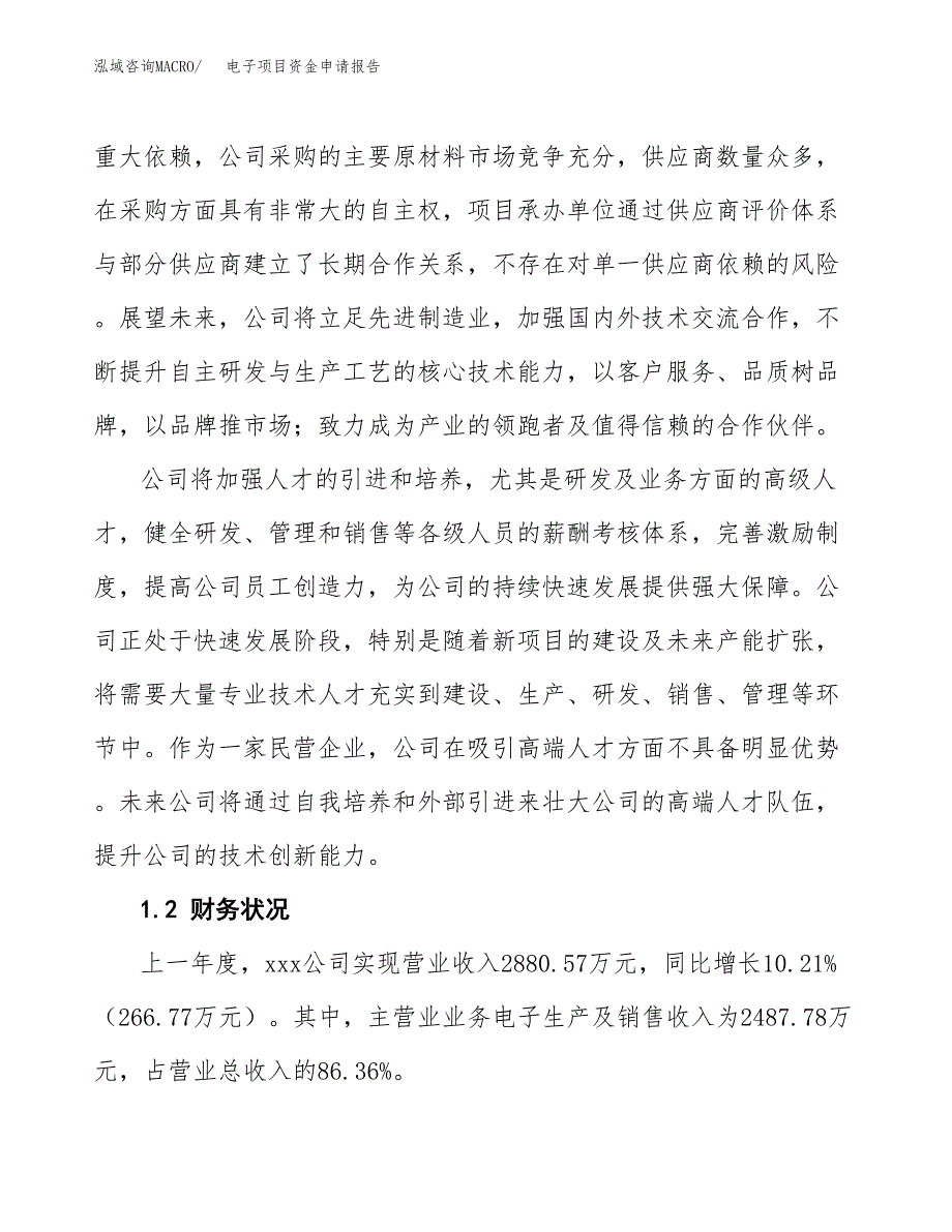 电子项目资金申请报告_第4页