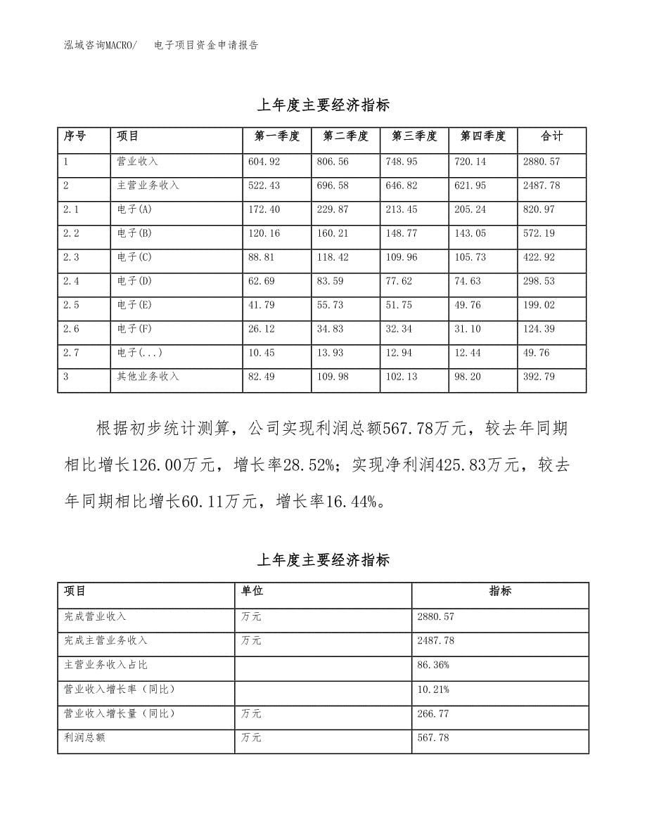 电子项目资金申请报告_第5页