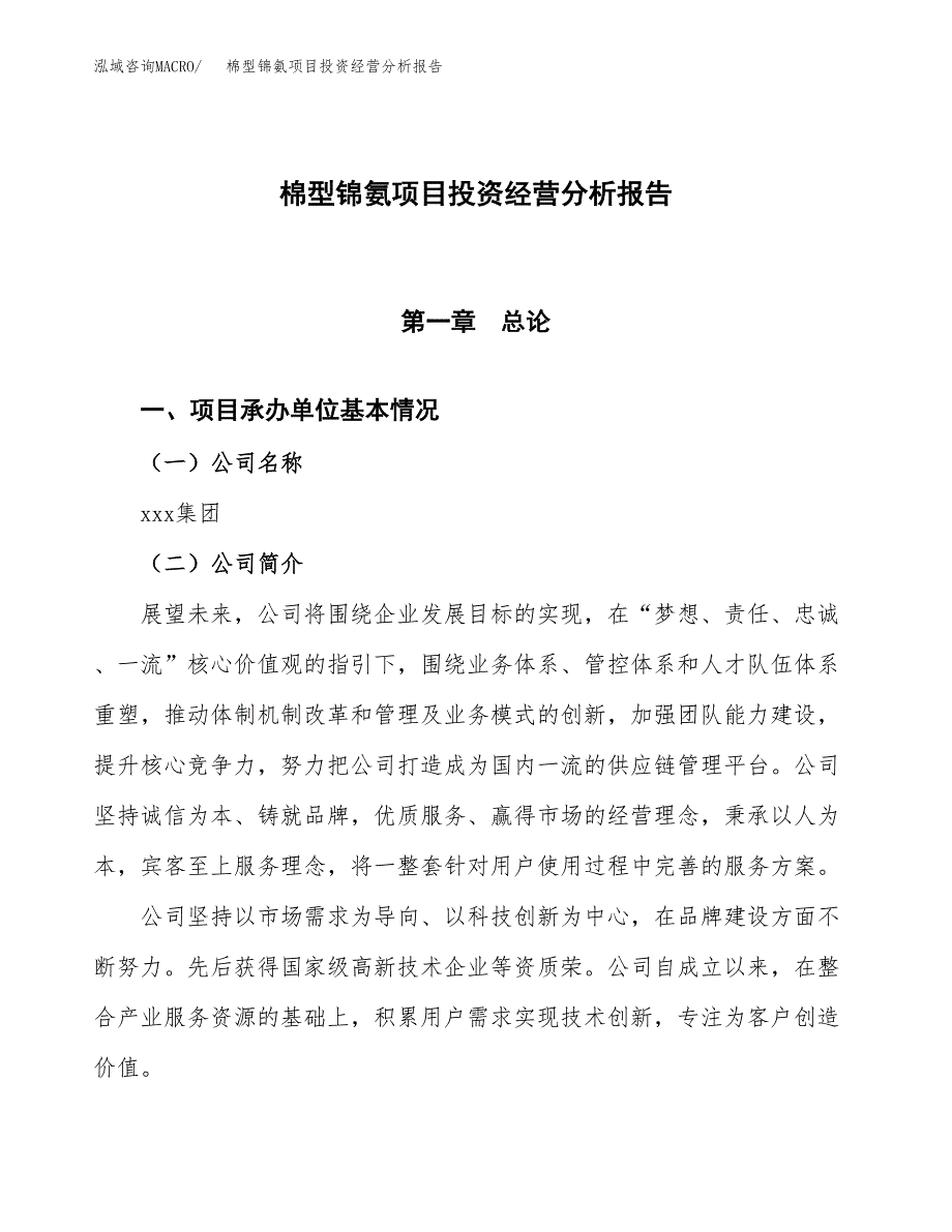 棉型锦氨项目投资经营分析报告模板.docx_第1页