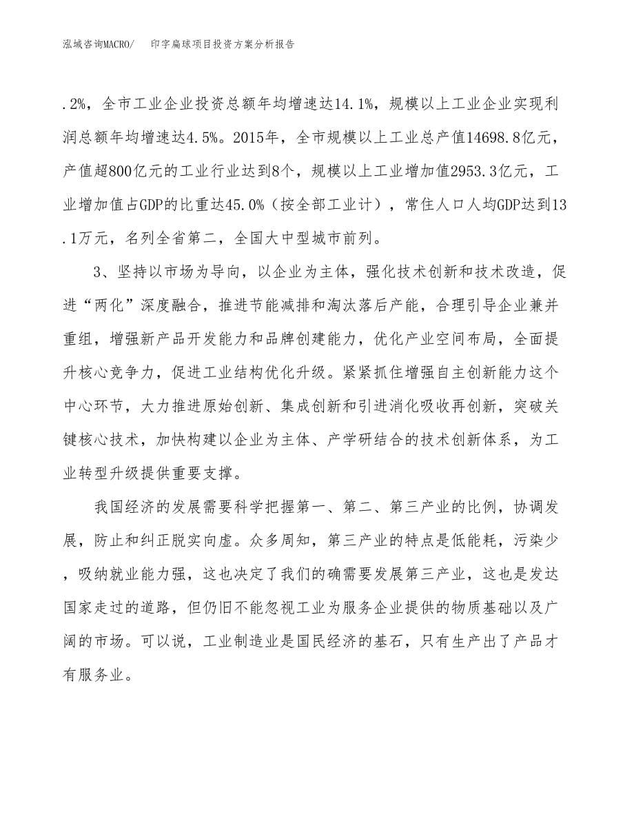 印字扁球项目投资方案分析报告.docx_第5页