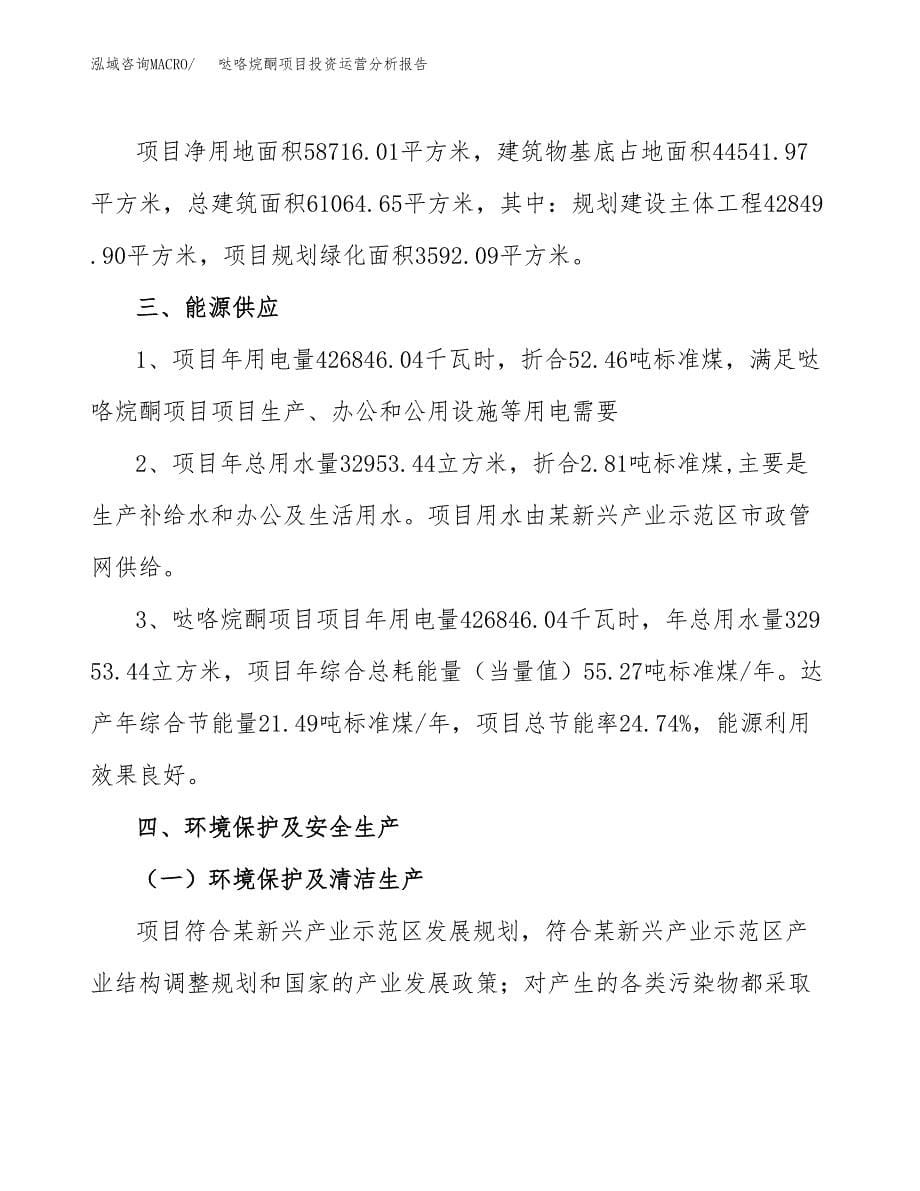 哒咯烷酮项目投资运营分析报告参考模板.docx_第5页