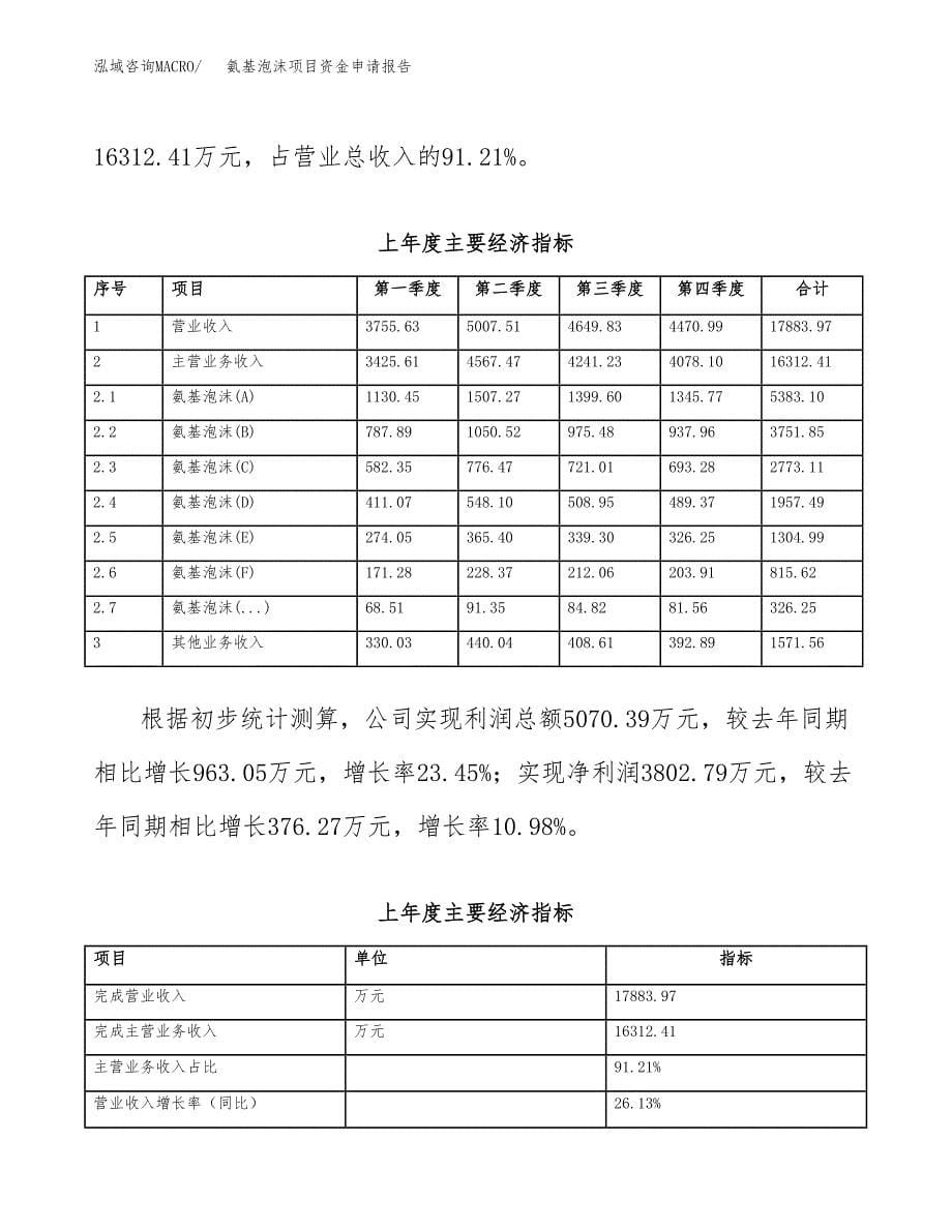 氨基泡沫项目资金申请报告_第5页