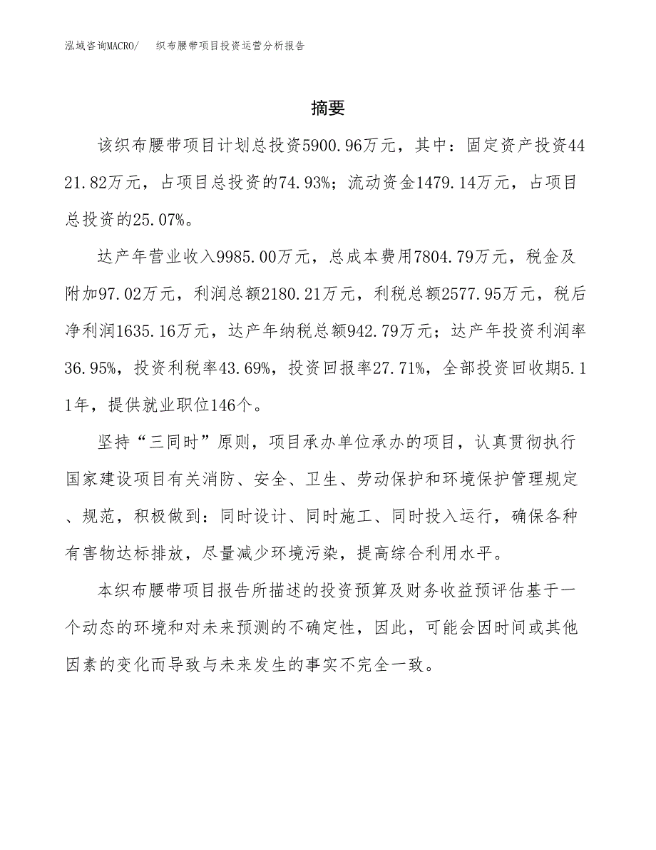 织布腰带项目投资运营分析报告参考模板.docx_第2页