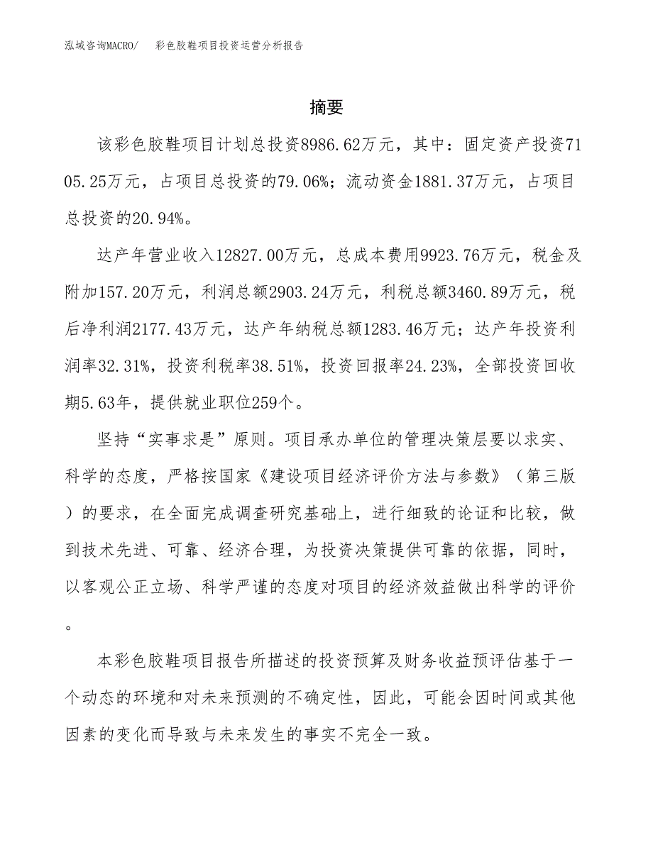 彩色胶鞋项目投资运营分析报告参考模板.docx_第2页