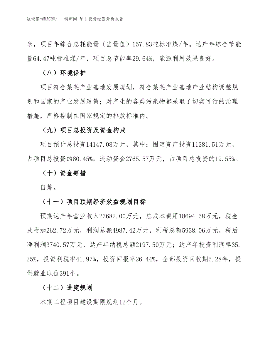 锅炉阀 项目投资经营分析报告模板.docx_第4页