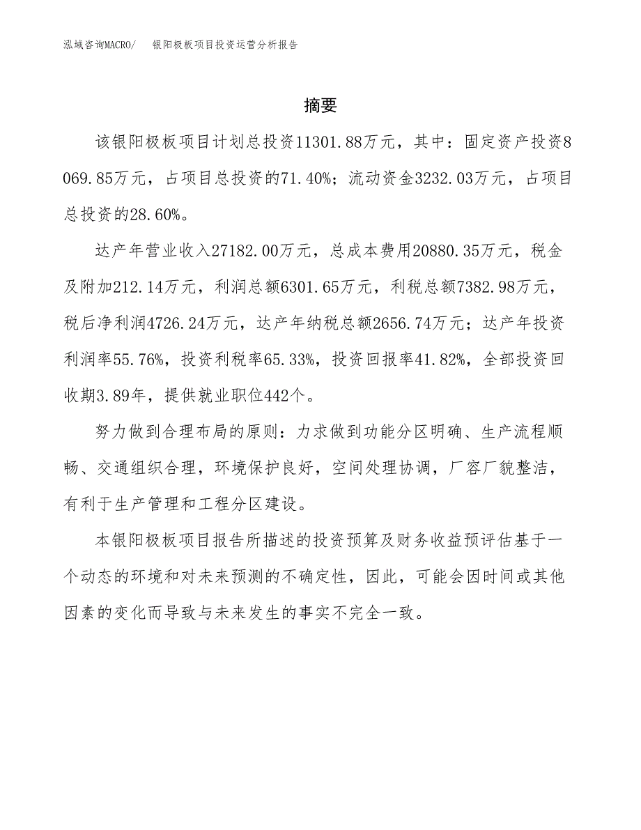 银阳极板项目投资运营分析报告参考模板.docx_第2页