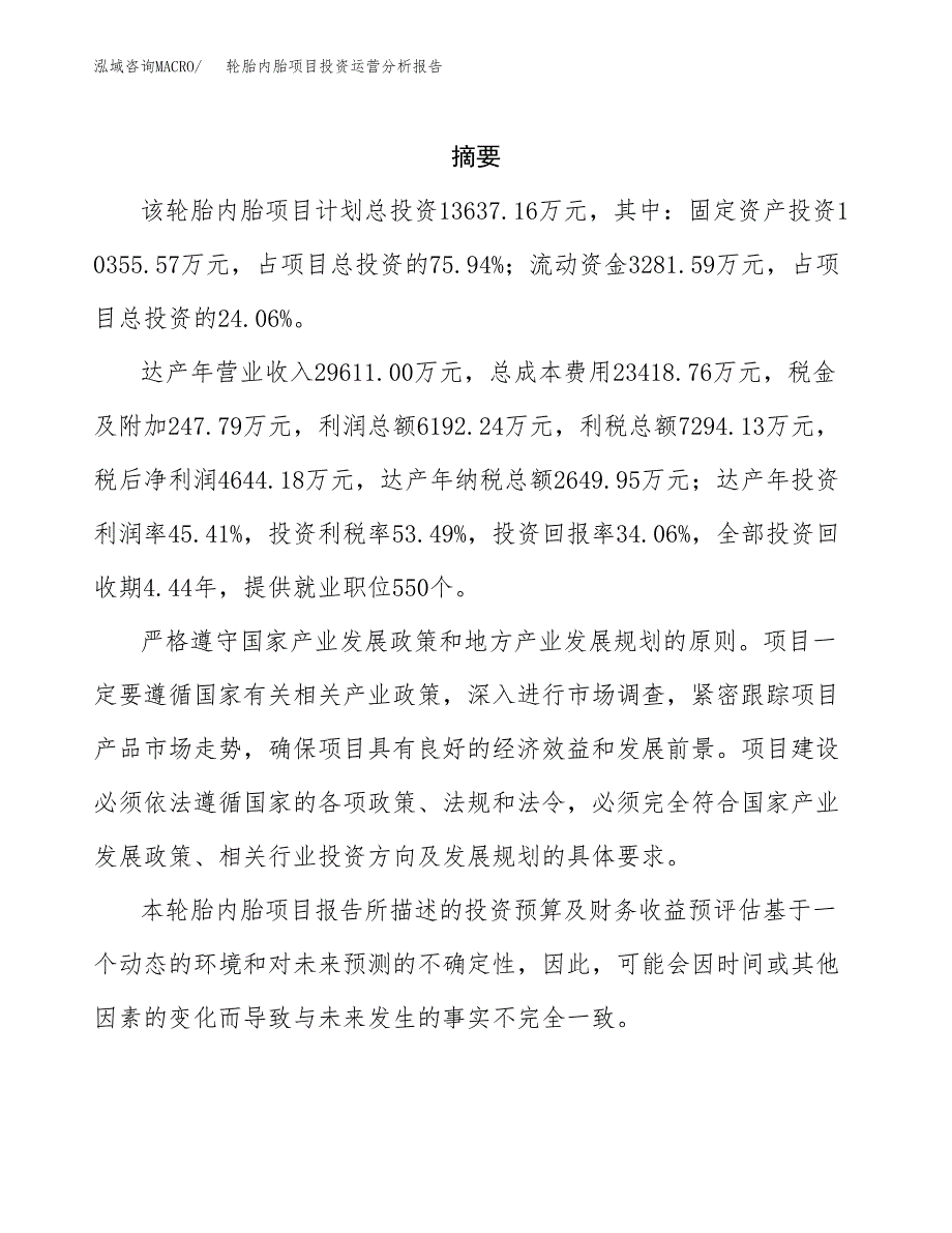 轮胎内胎项目投资运营分析报告参考模板.docx_第2页