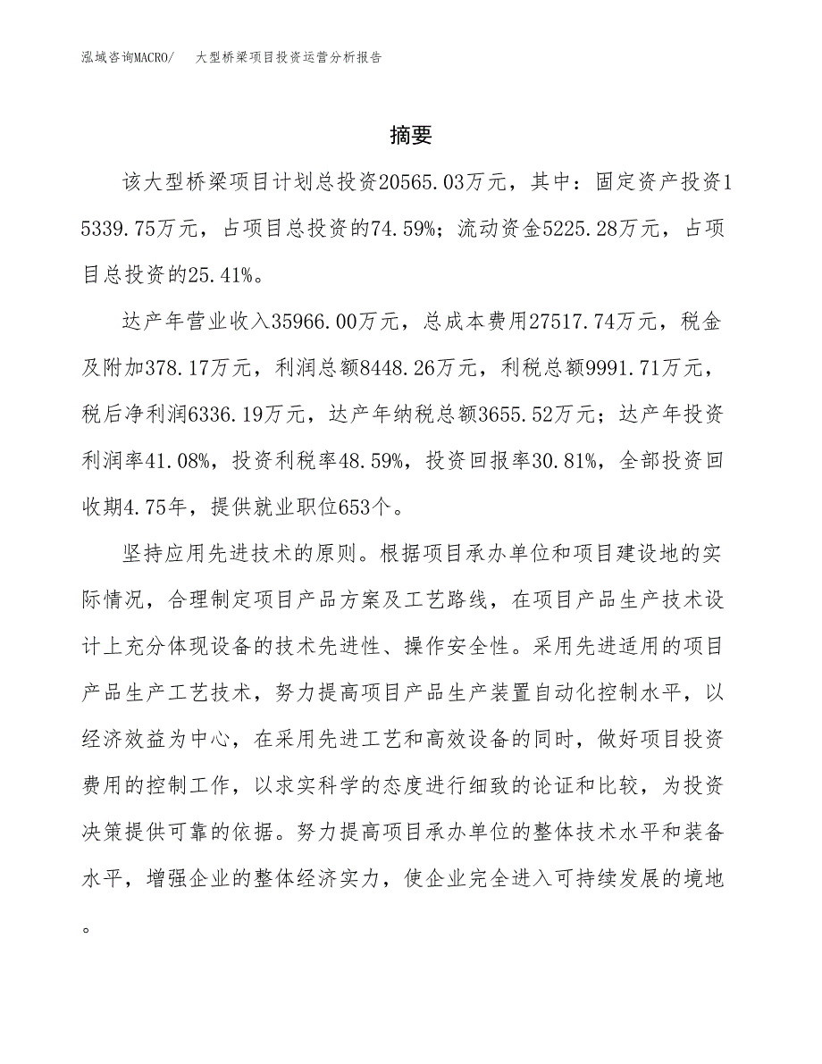 大型桥梁项目投资运营分析报告参考模板.docx_第2页