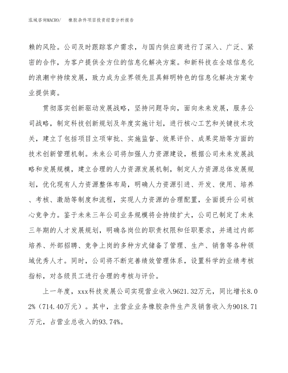 橡胶杂件项目投资经营分析报告模板.docx_第2页