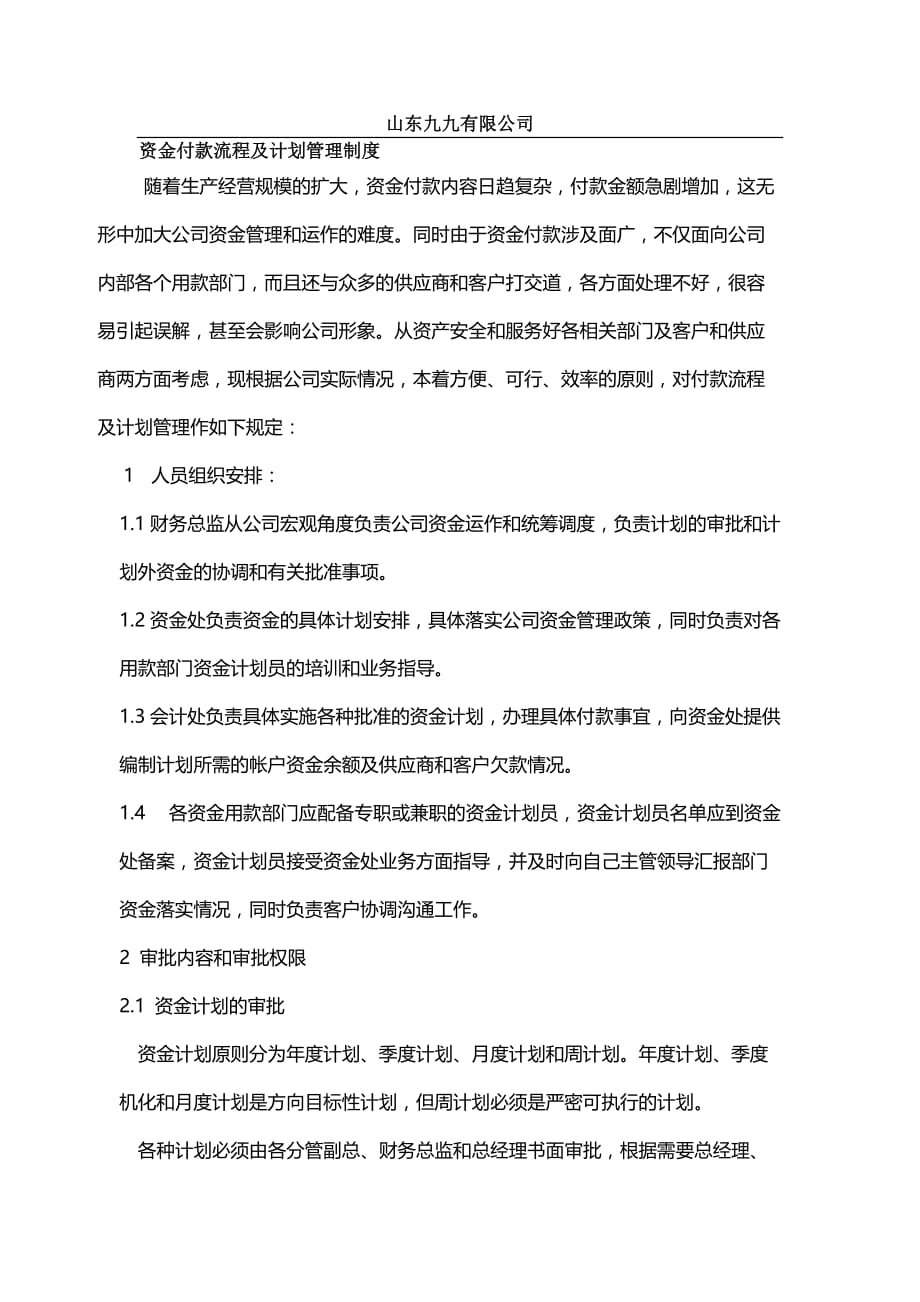 某某公司资金付款流程及计划管理制_第1页