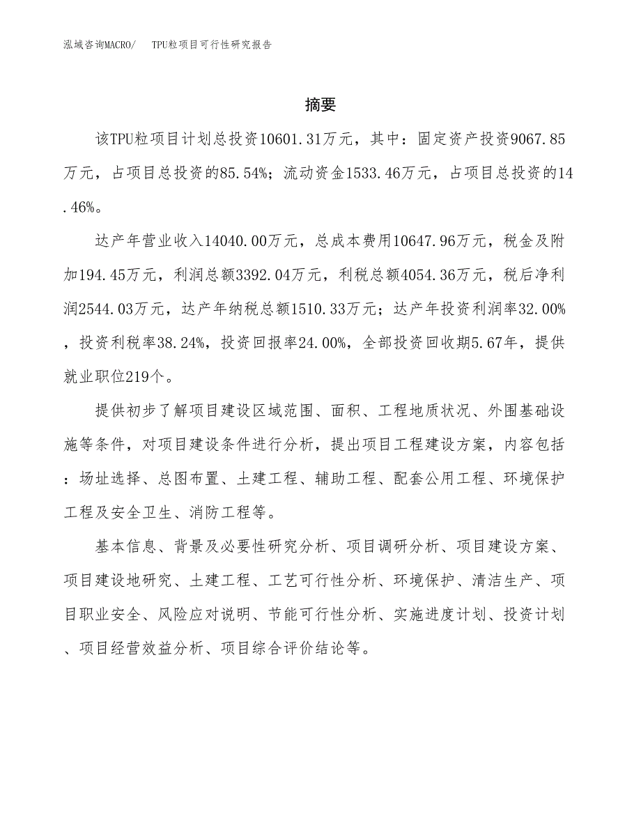 TPU粒项目可行性研究报告汇报设计.docx_第2页