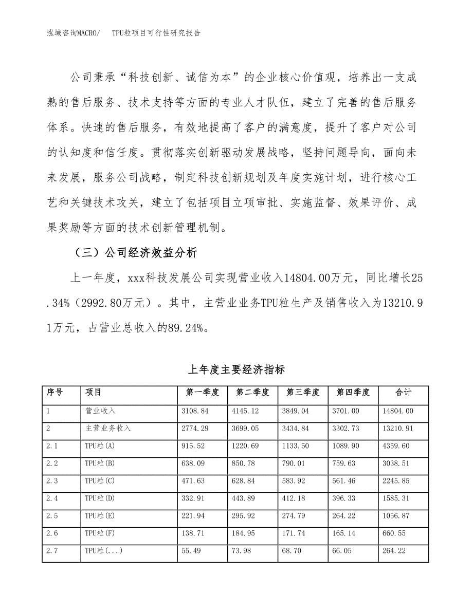 TPU粒项目可行性研究报告汇报设计.docx_第5页