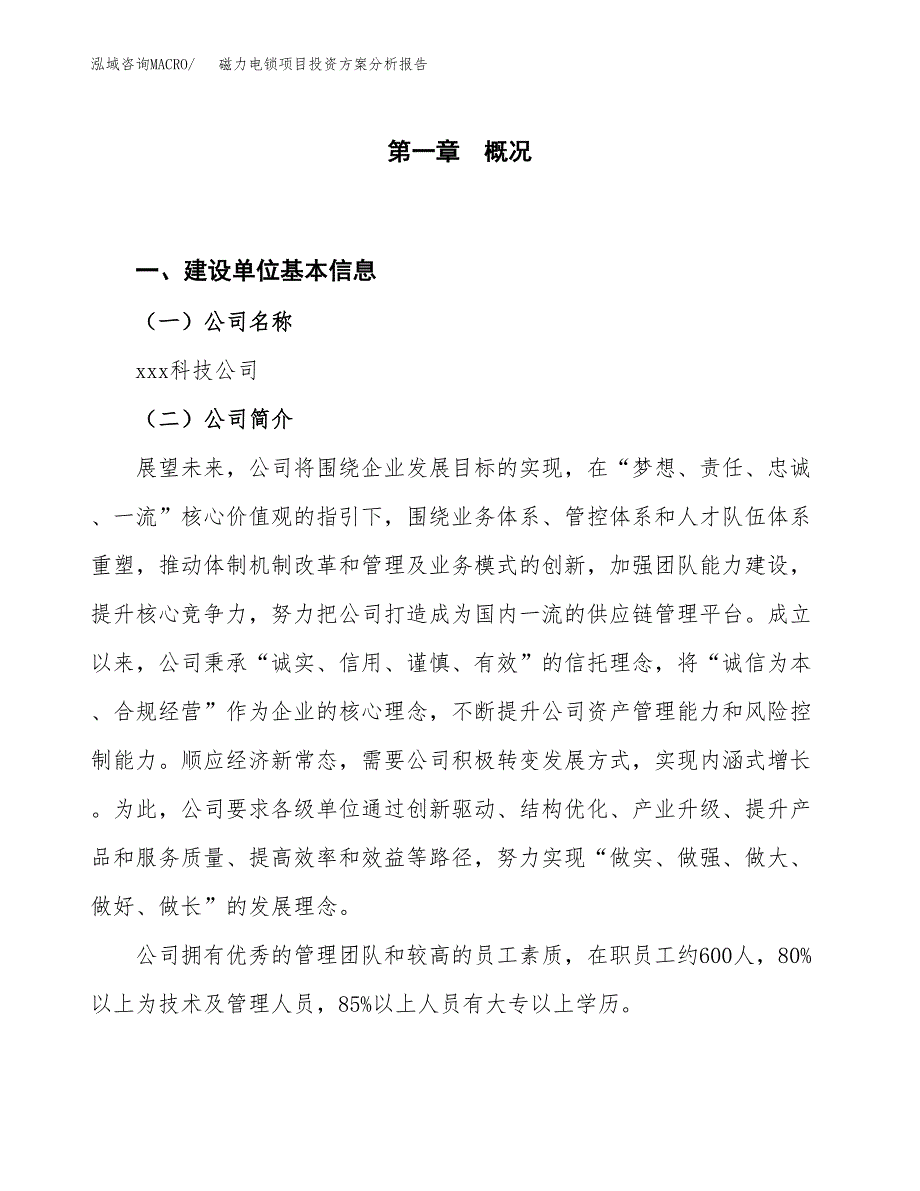 磁力电锁项目投资方案分析报告.docx_第1页